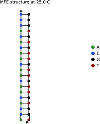 Stable DNA Sequence Over Close-Ending and Pairing Sequences Constraint